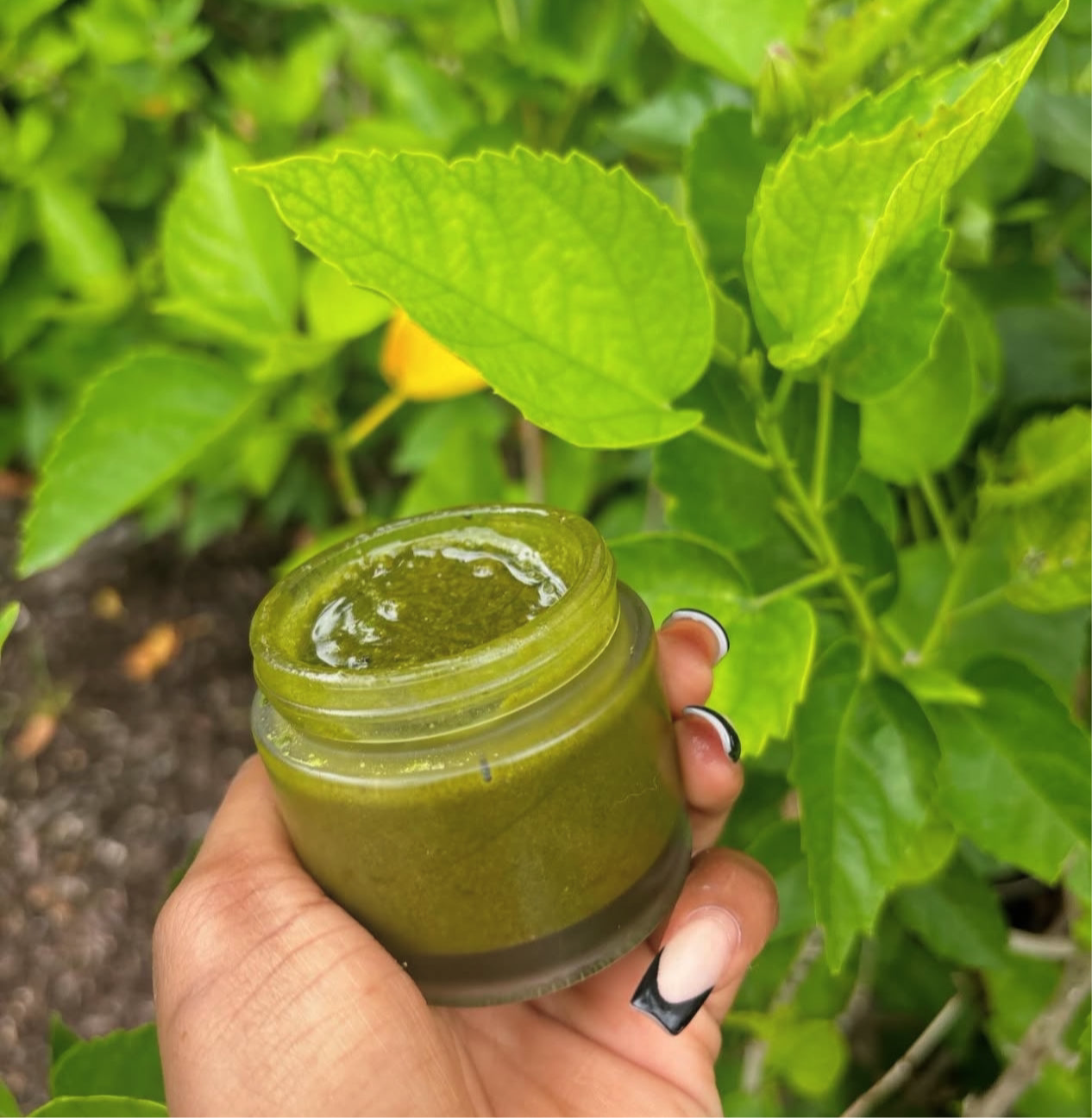 Matcha Pumpkin Face Mask
