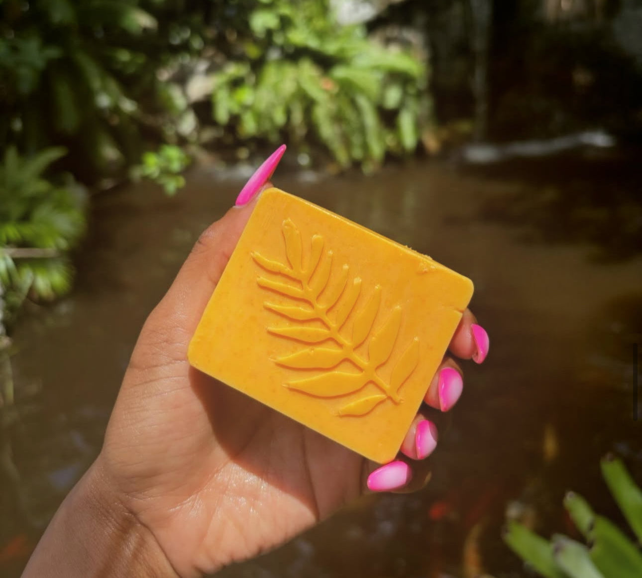 Junie Mango Bar