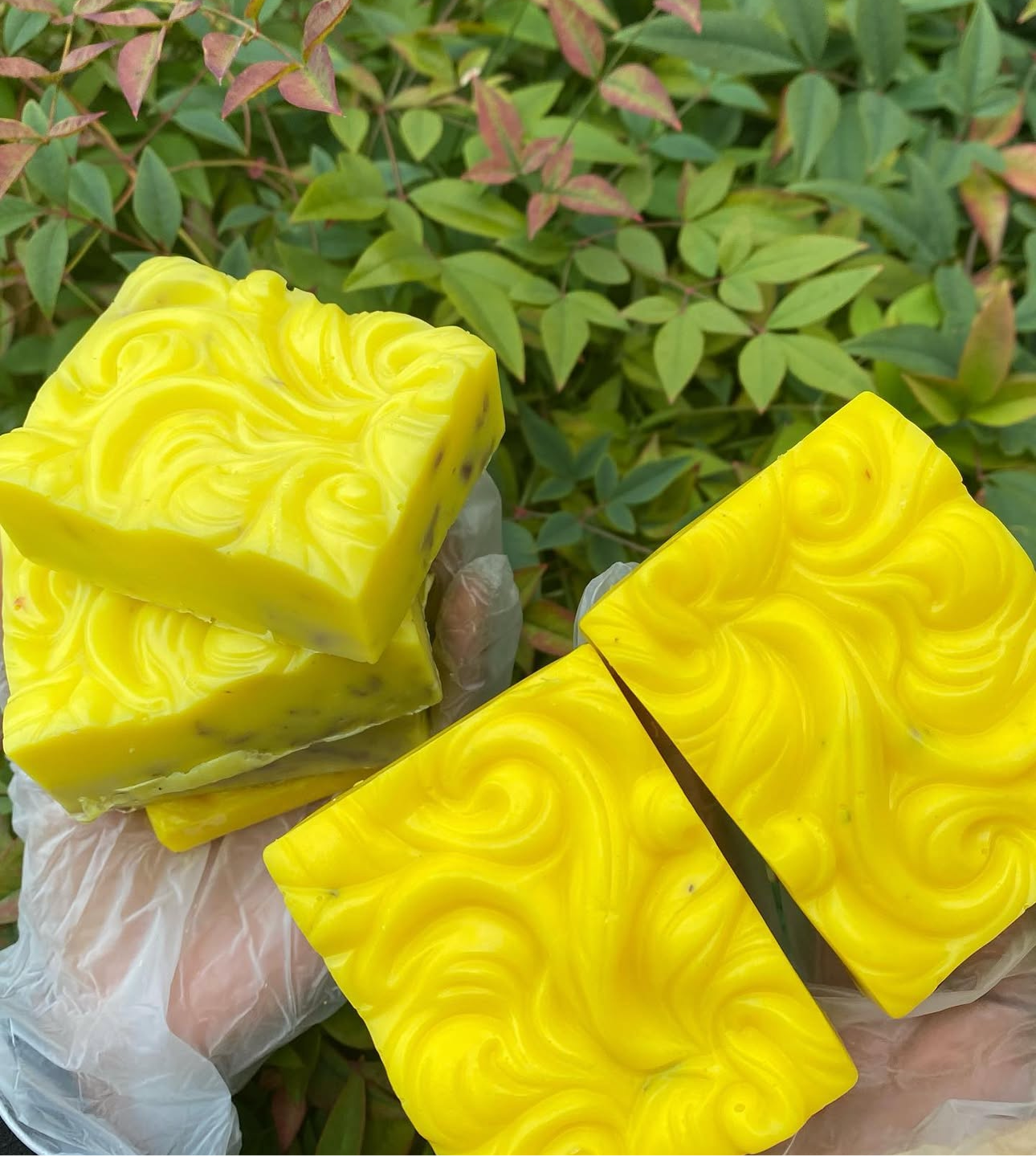 Yellow Bomb Goats Milk Bar
