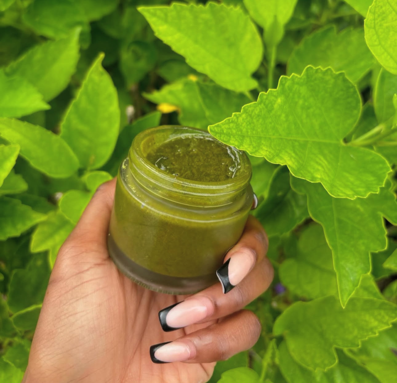 Pumpkin Matcha Face Mask